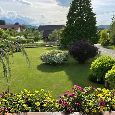Apartament Schimun *